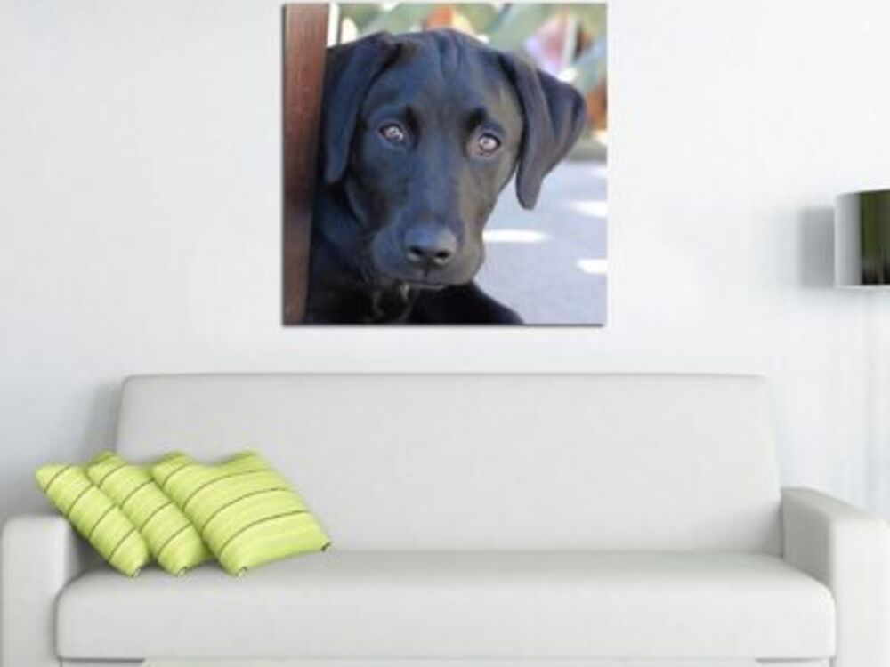 Canvas Prints Thumbnail