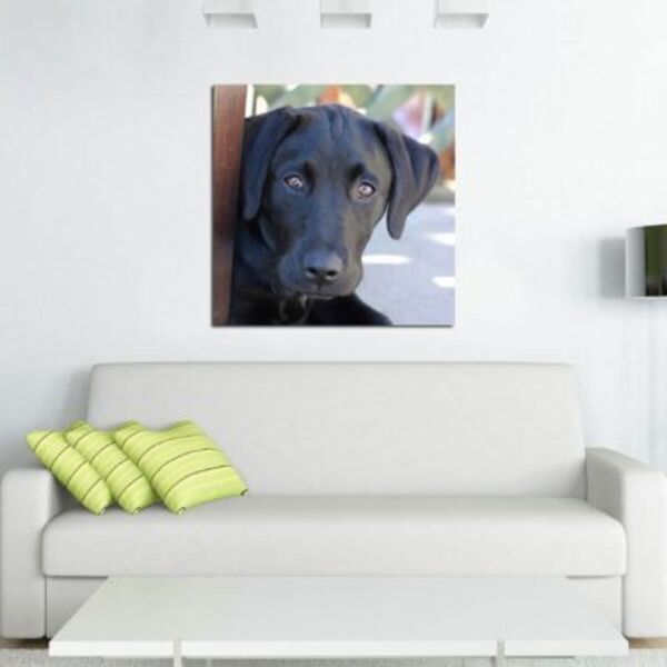 Square Canvas Prints Thumbnail